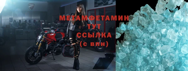 прущие грибы Абаза