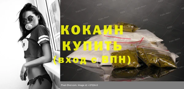 прущие грибы Абаза
