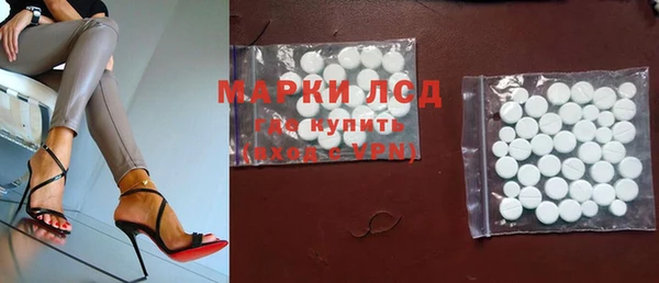 прущие грибы Абаза