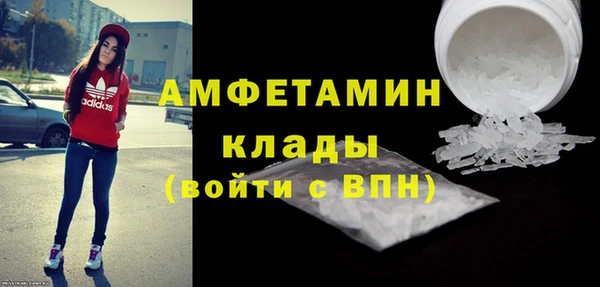 прущие грибы Абаза