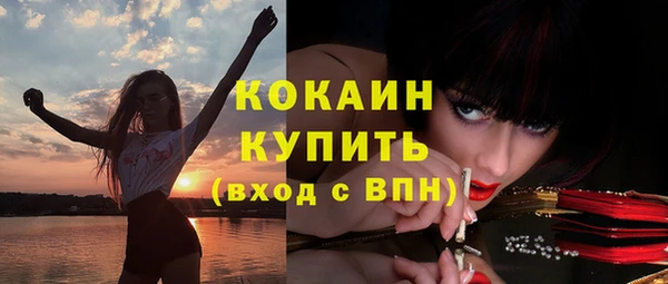 прущие грибы Абаза