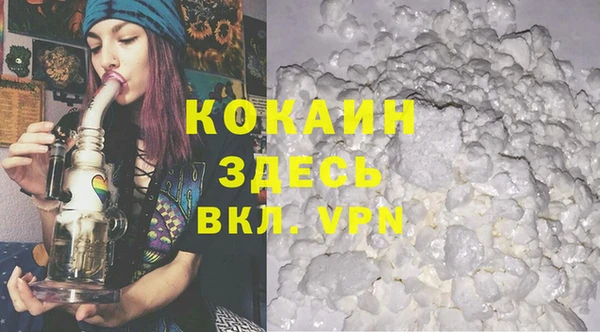 прущие грибы Абаза