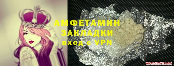 прущие грибы Абаза