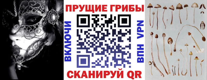 KRAKEN ТОР  Чухлома  Галлюциногенные грибы MAGIC MUSHROOMS 
